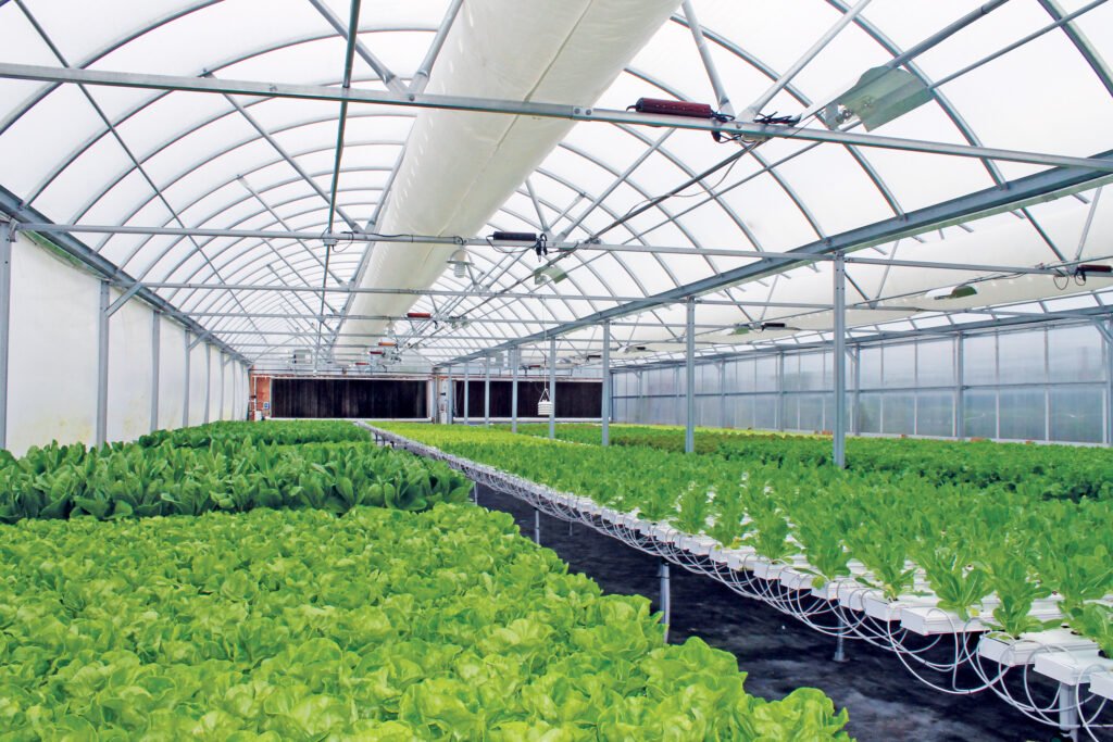 Greenhouse Solutions